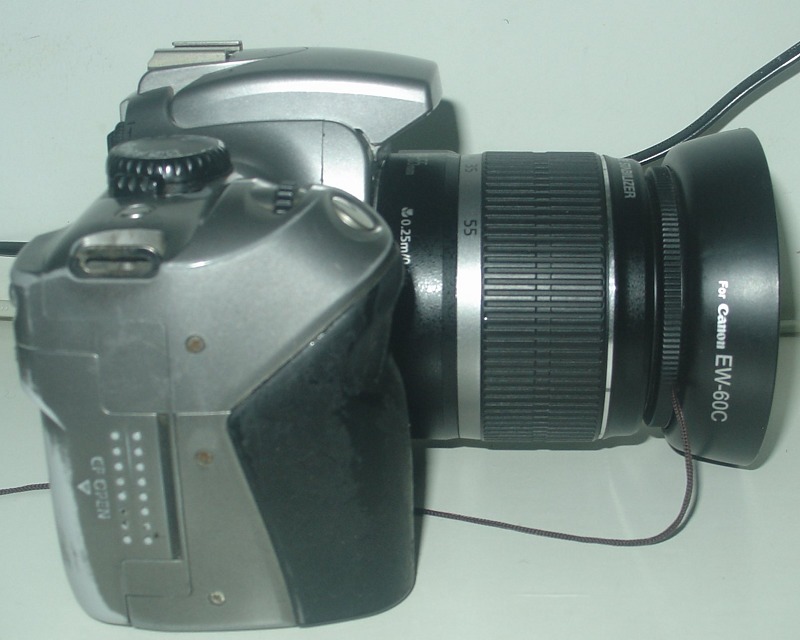 DSC05974.JPG