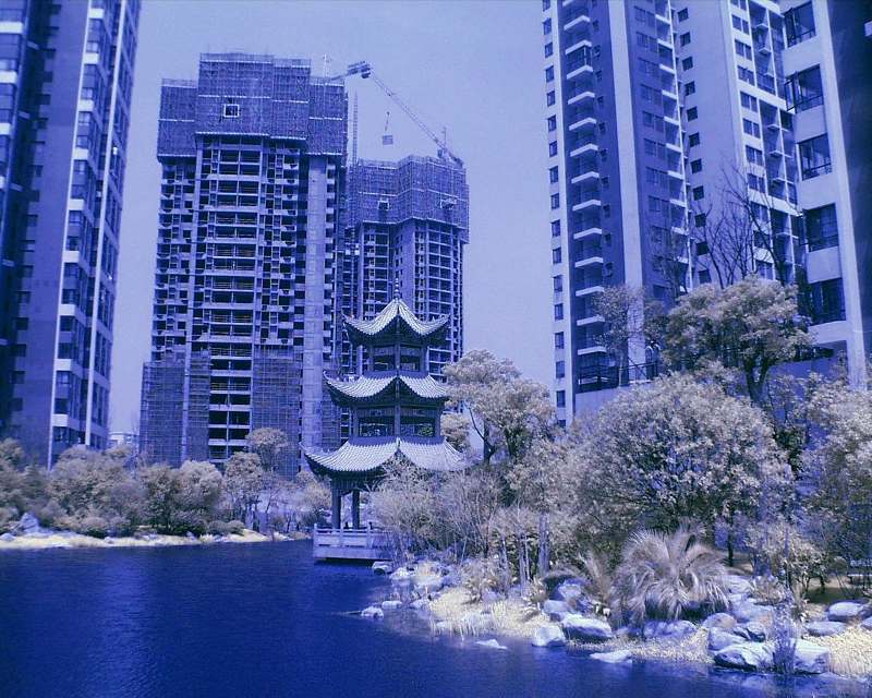 PIC00016.JPG