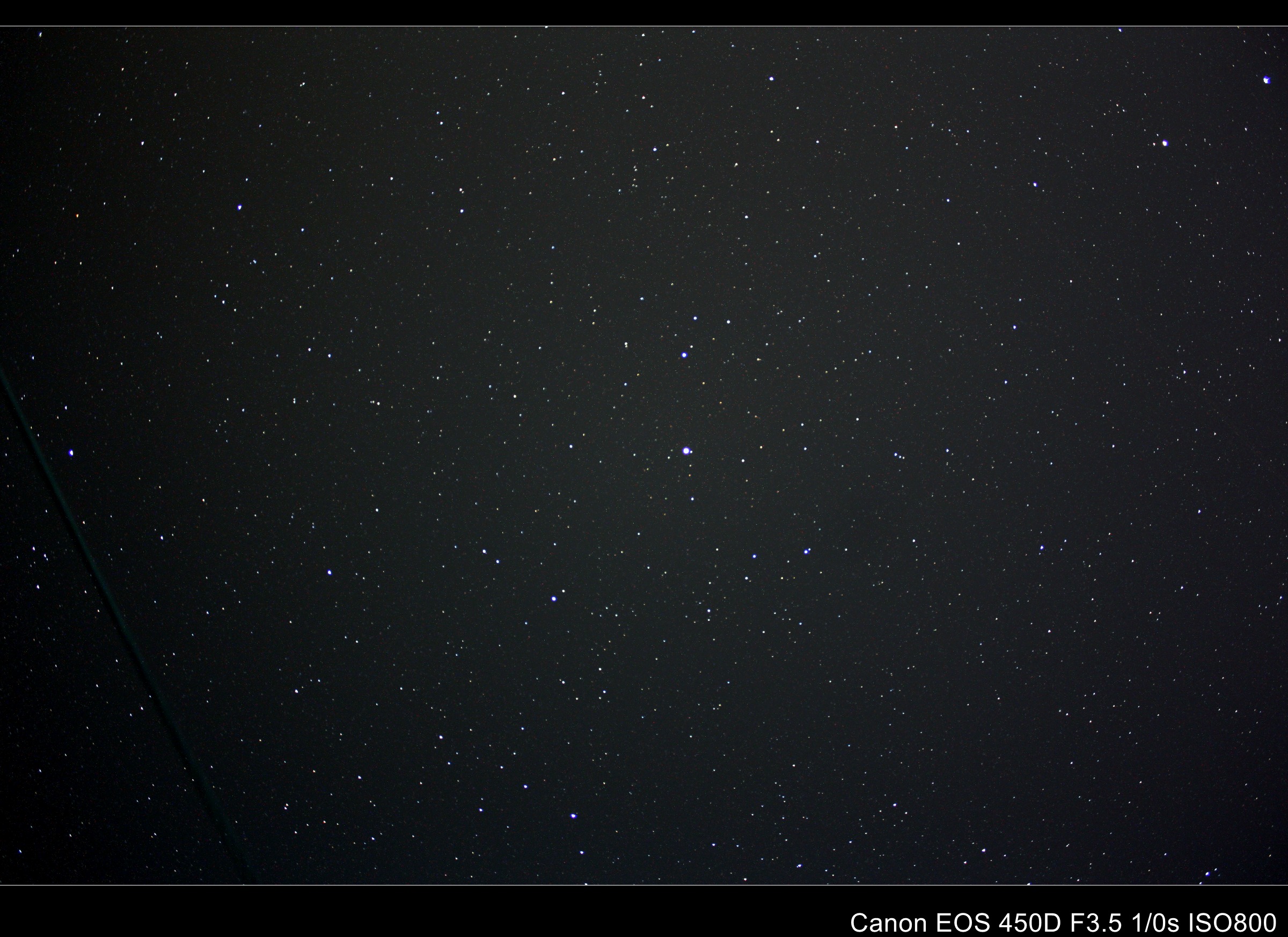 18 星野_conew1.jpg