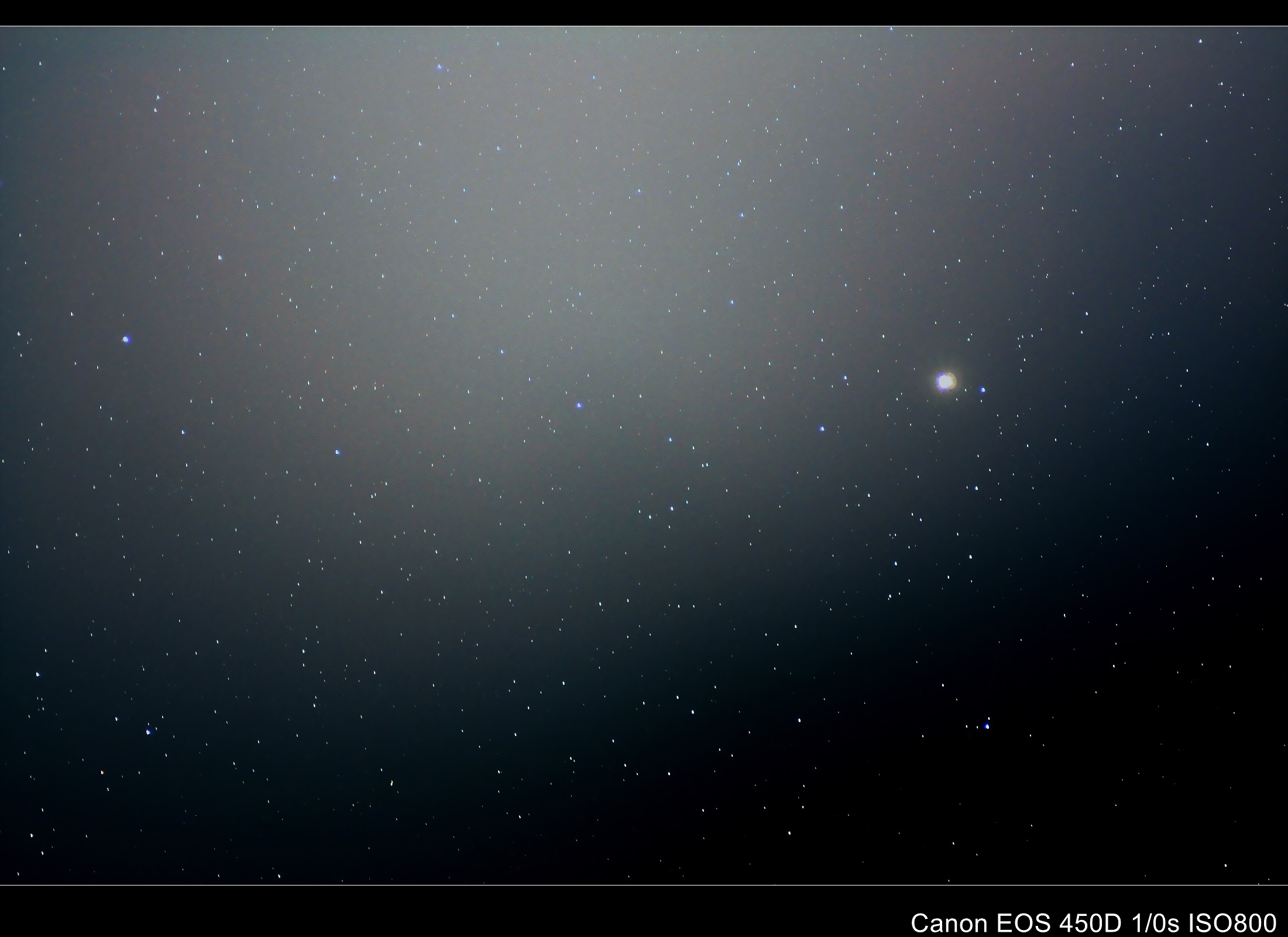 135 星野2.jpg