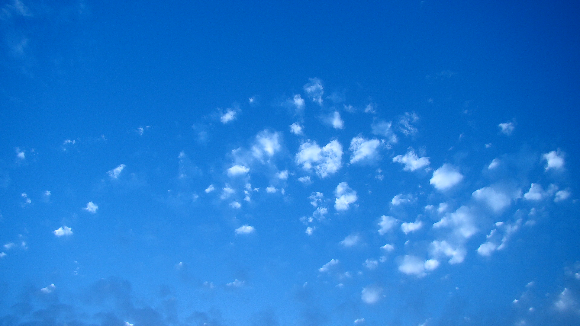 DSC05876.JPG