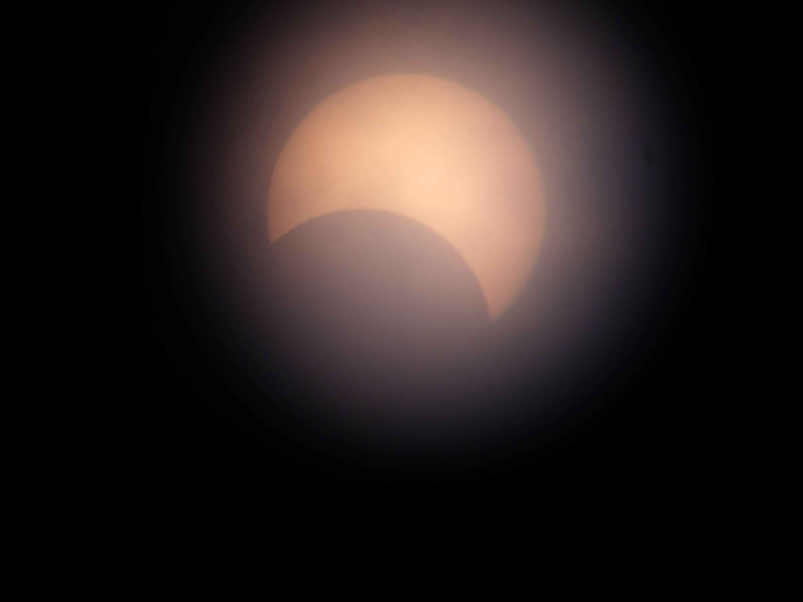 DSCF4037.JPG