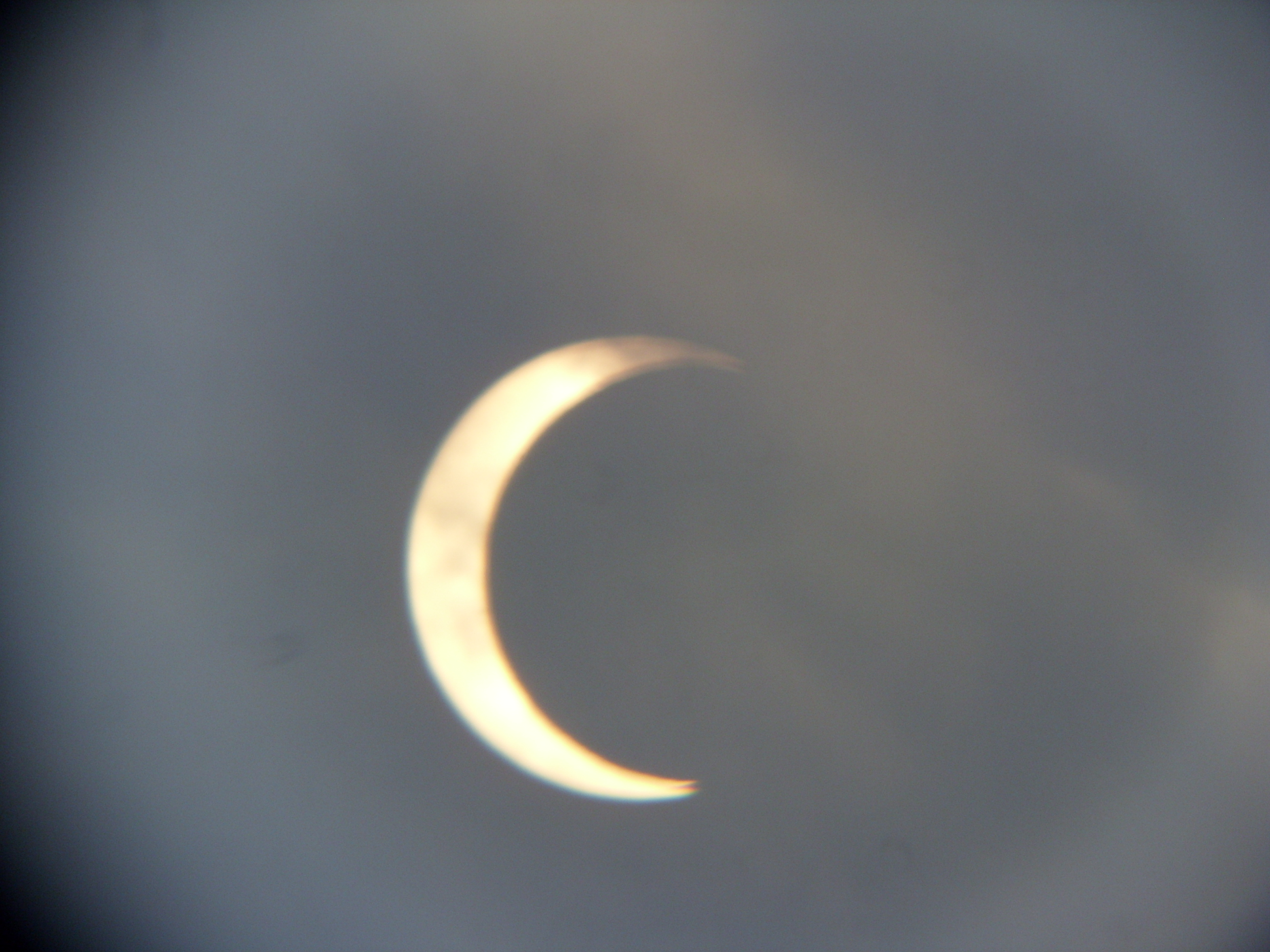 SN851232.JPG