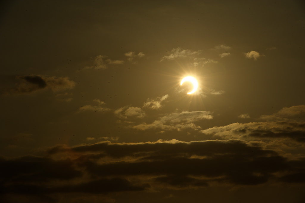 SGF_1269e.jpg