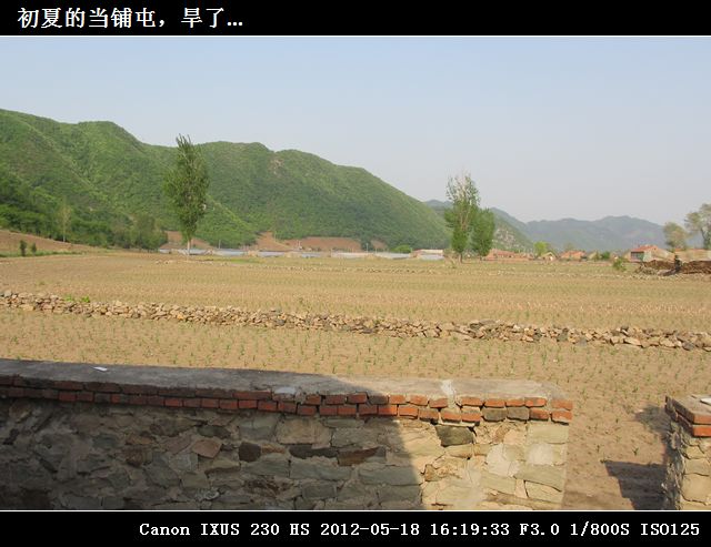01初夏的当铺屯，旱了...IMG_0573.jpg