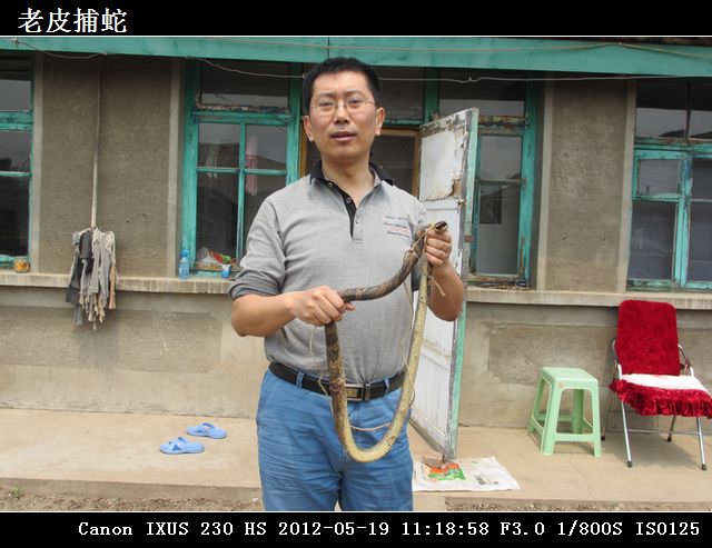 13老皮捕蛇IMG_0010.jpg
