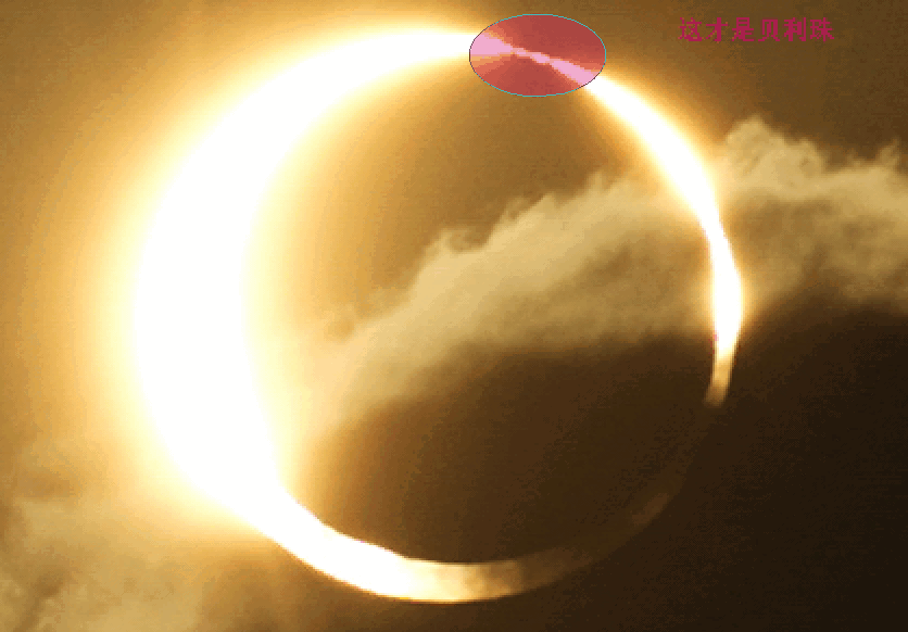 snap000243.gif