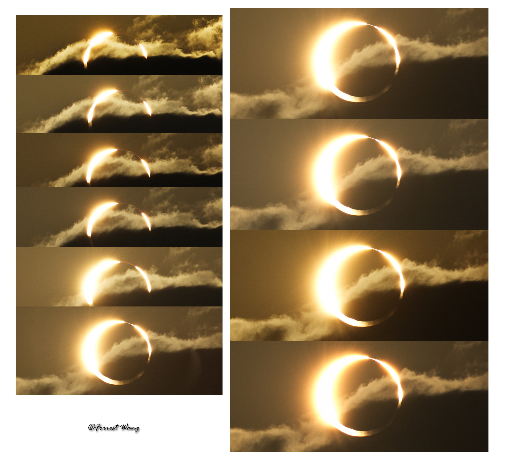 2012 Annular Eclipse-Solar Prominences and Bailey's Beads-by Forrest Wang .jpg