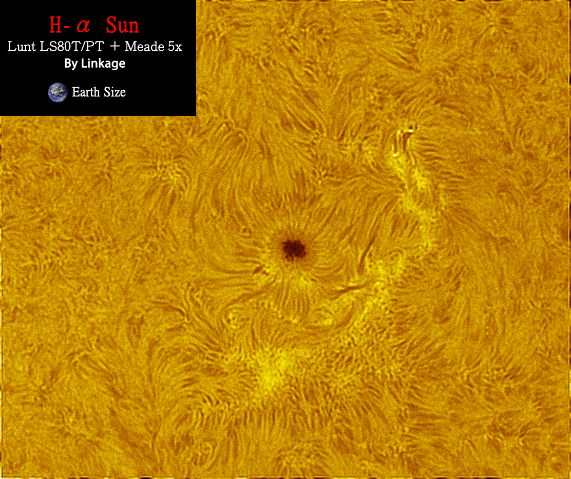 Sun_5x_06.gif