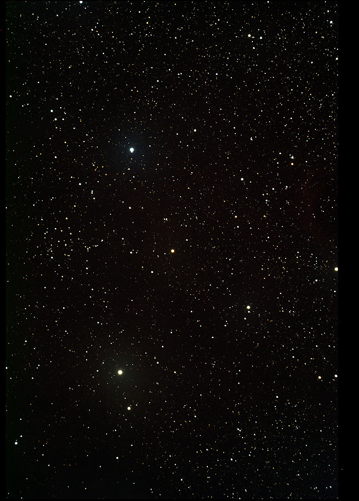 yc-008.jpg