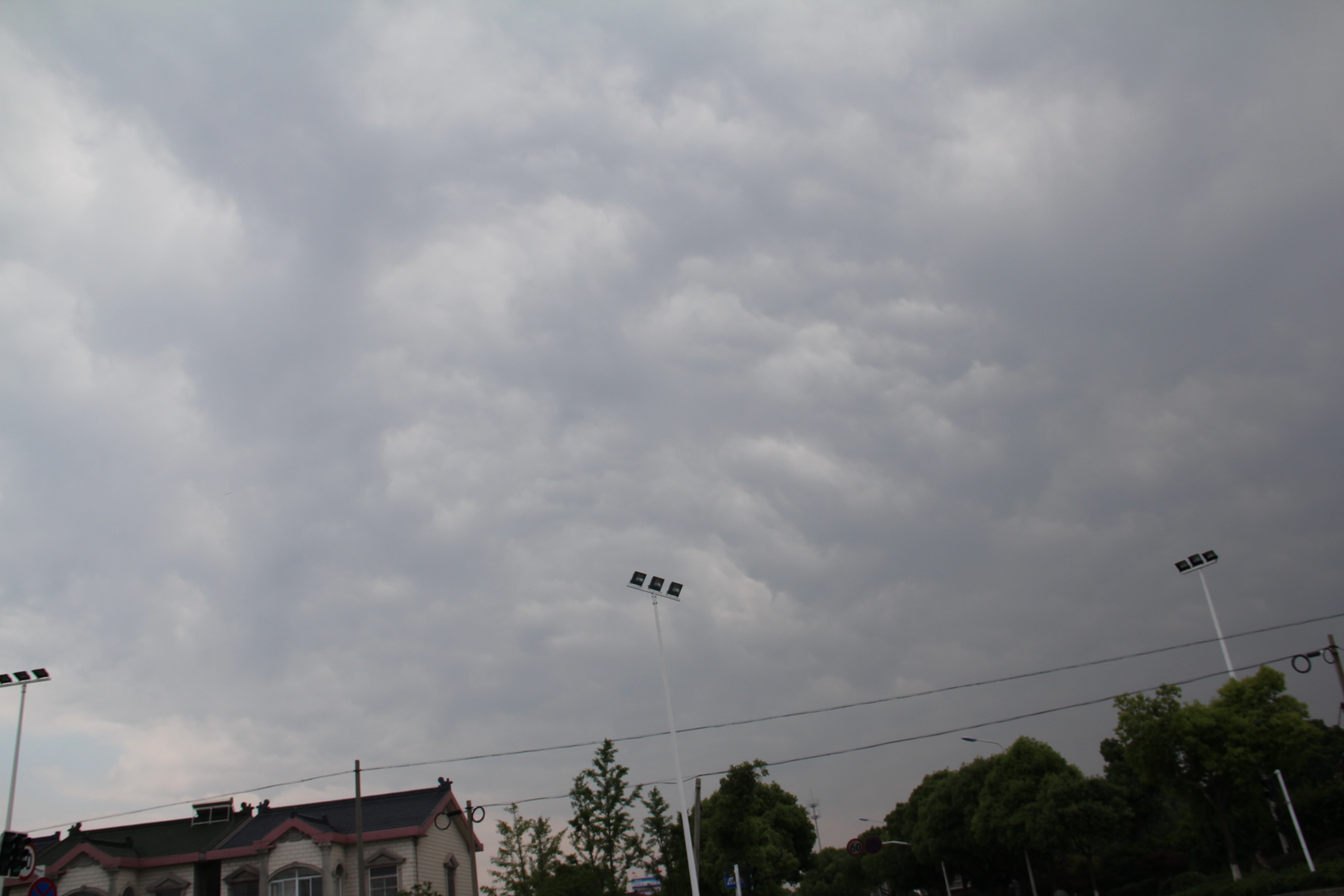 IMG_9270.jpg