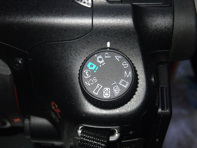DSCF3790.jpg