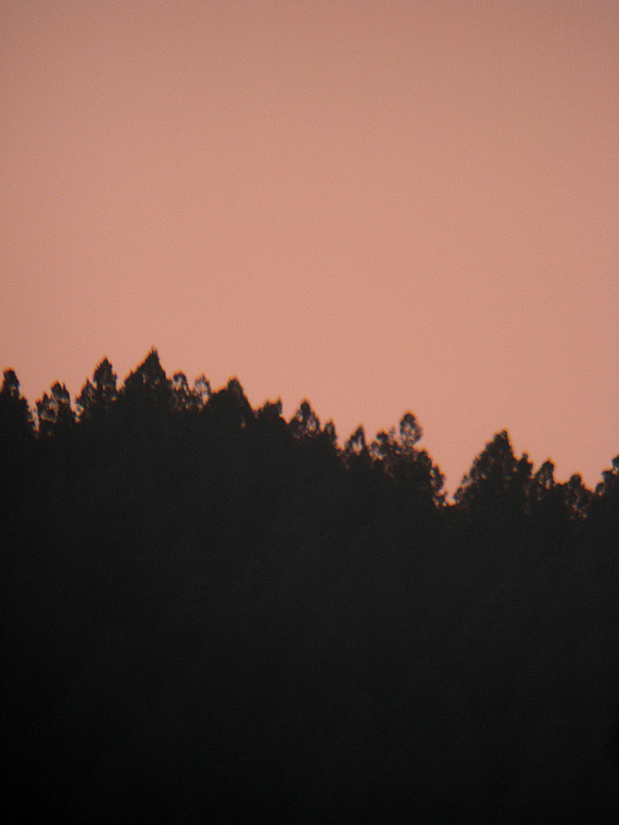 IMG_0508k.jpg