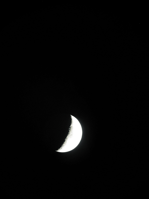 IMG_0600k.jpg