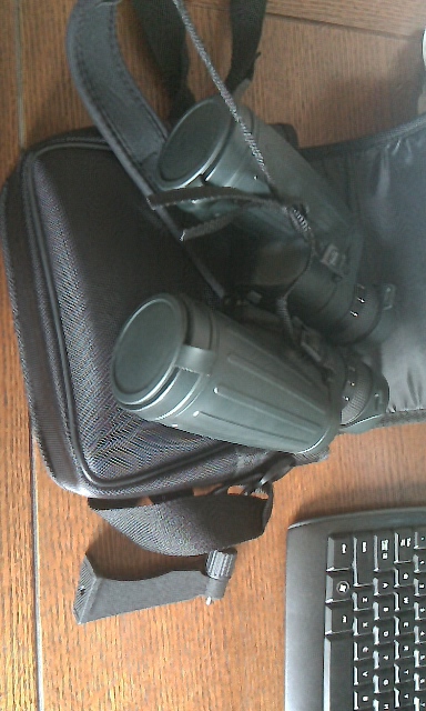 IMAG0654.jpg