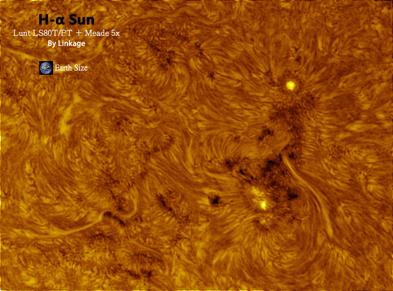 Sun20120529_5x_1.jpg