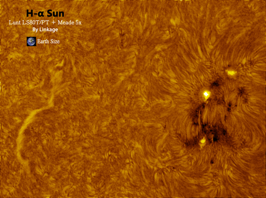 Sun20120529_5x_4.jpg
