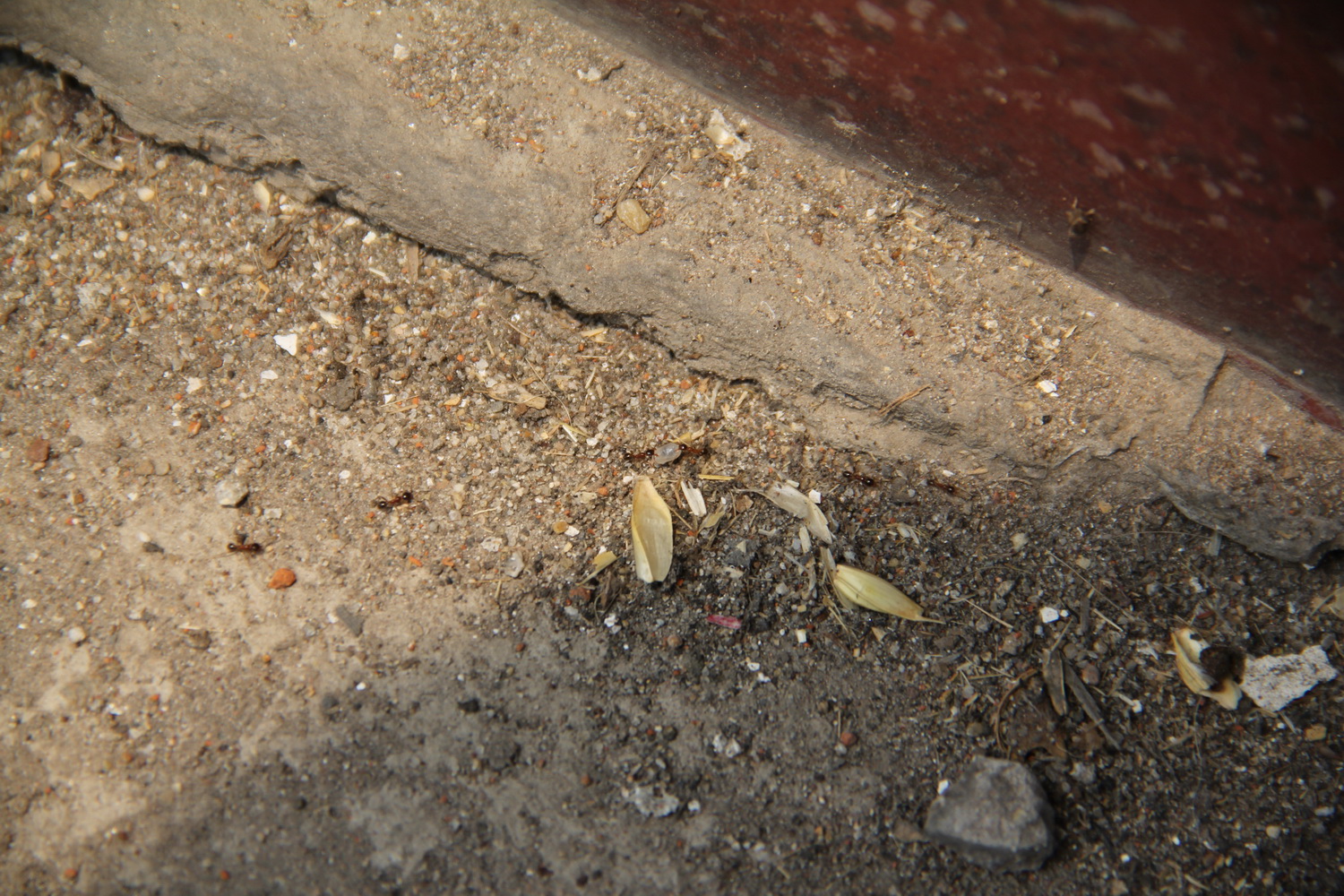 IMG_9687.jpg