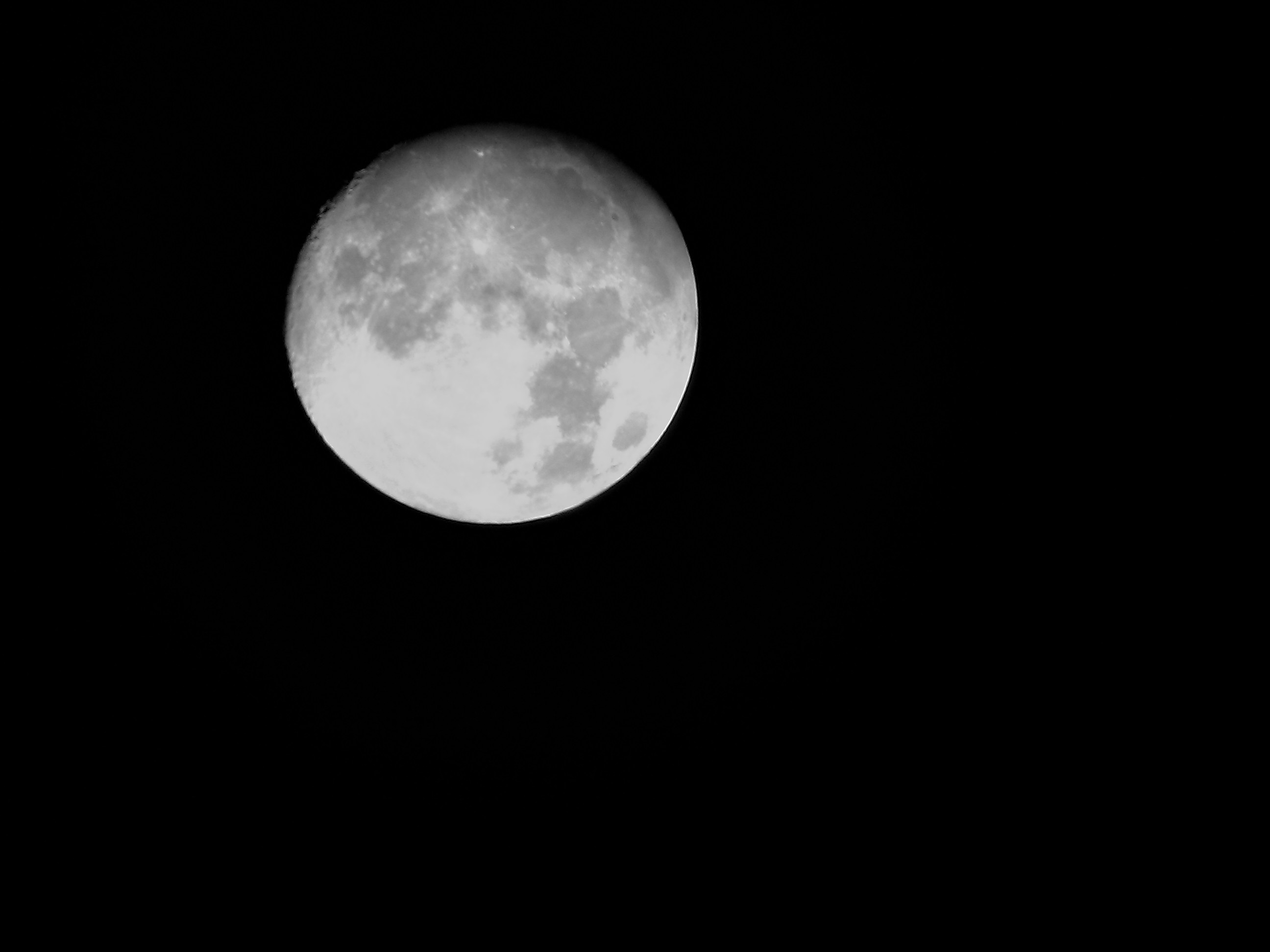 WP_000171.jpg