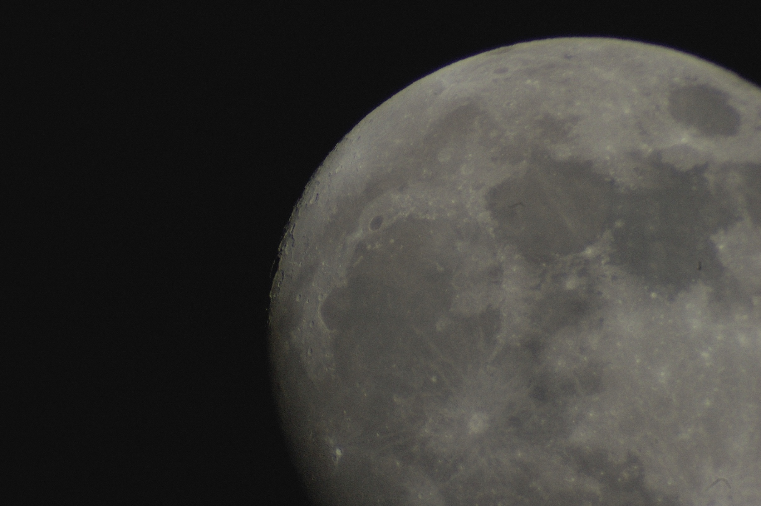 DSC_4727b.jpg