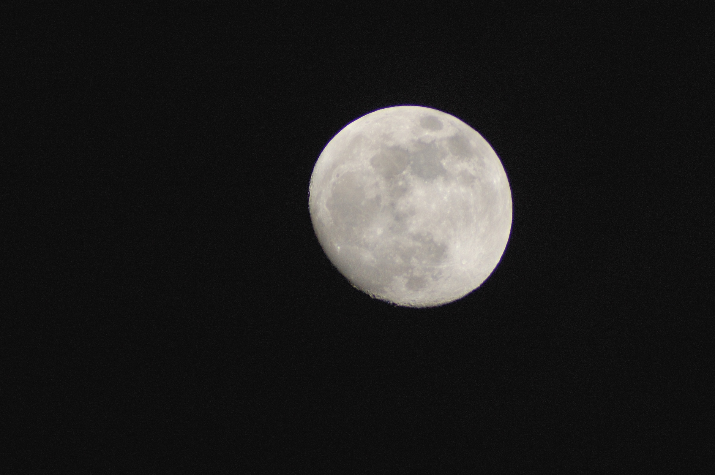 DSC_4736.jpg
