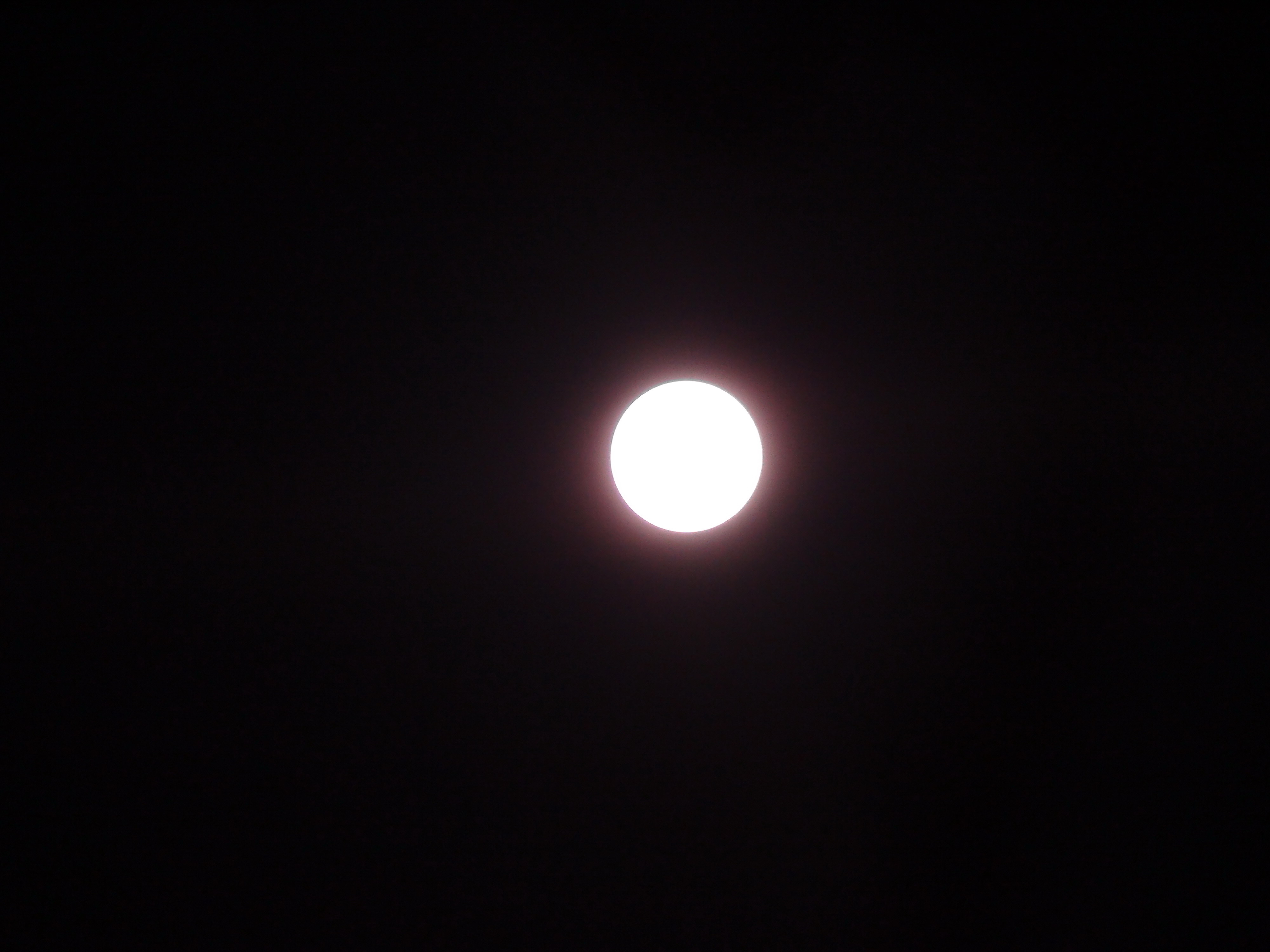 DSC08752.jpg