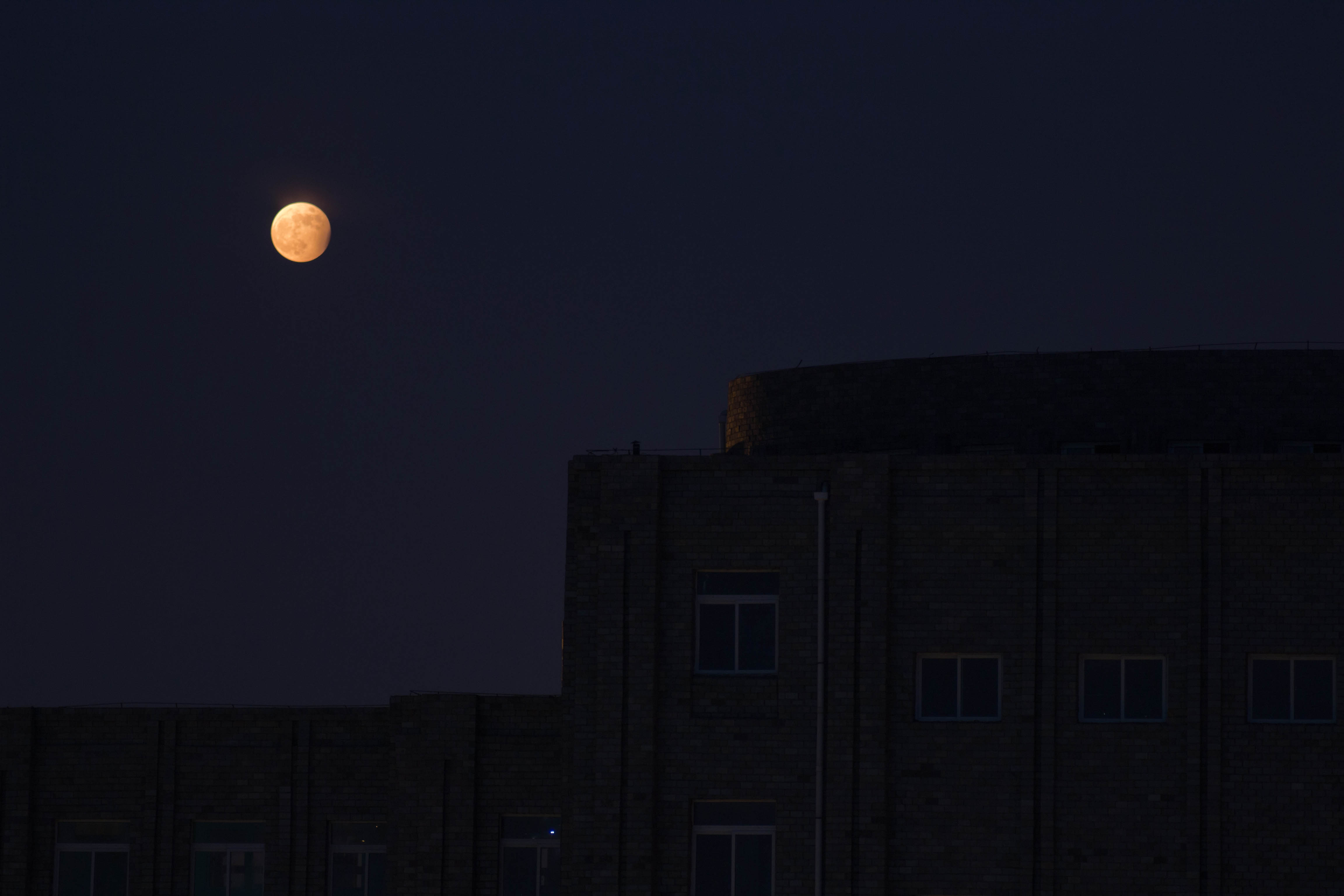 DSC_0012-1.jpg