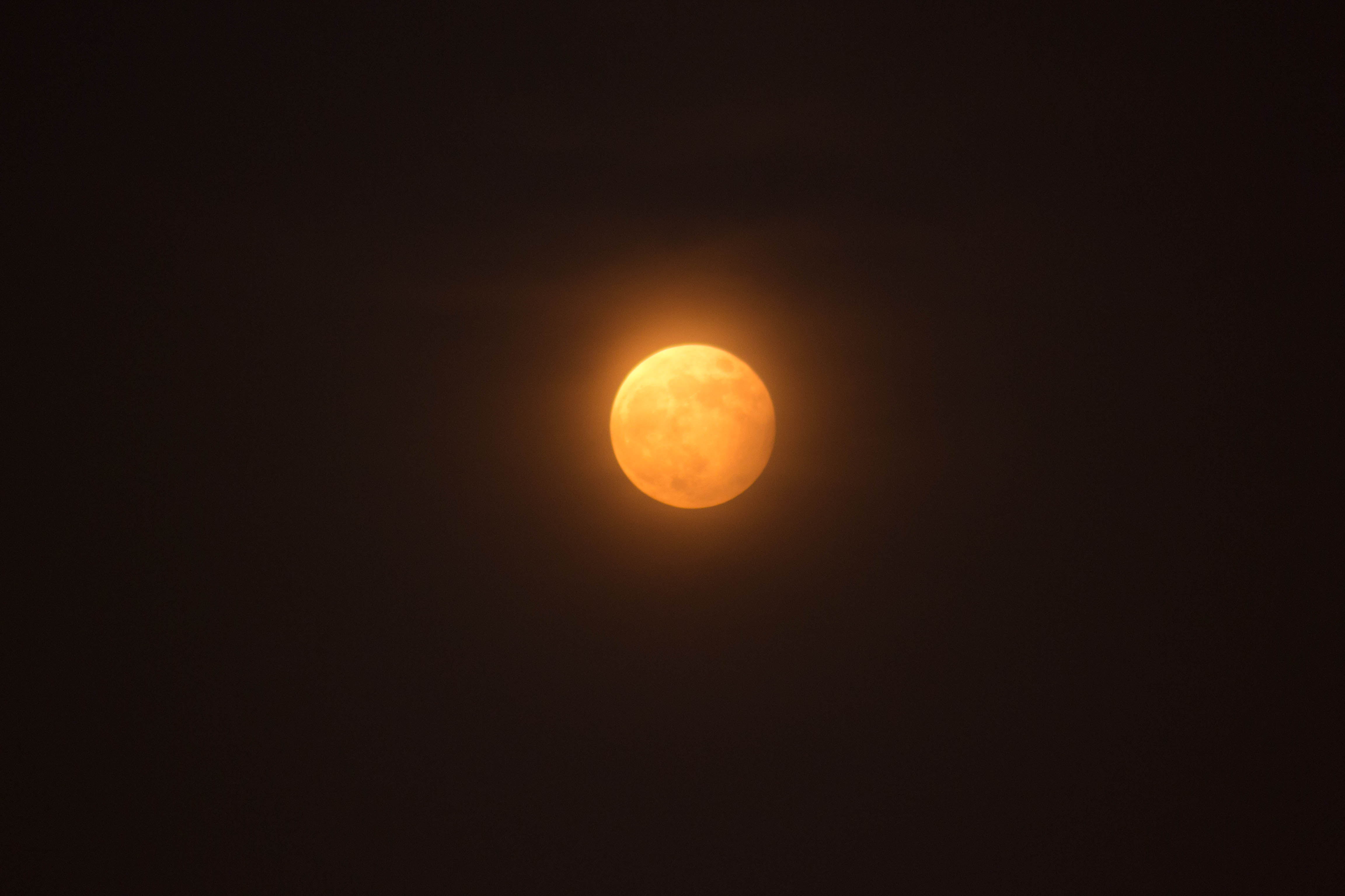 DSC_0025-1.jpg