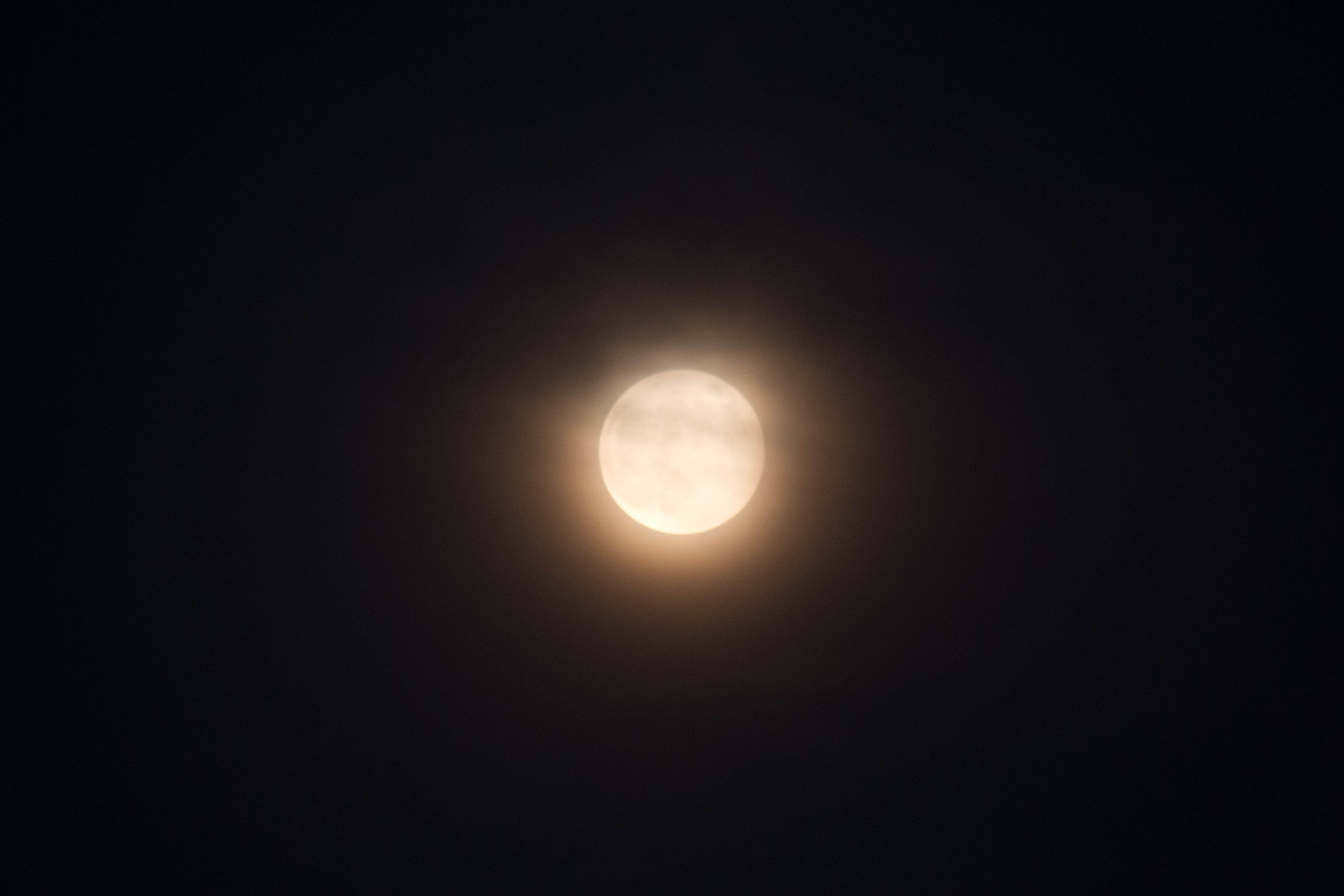 DSC_0049-1.jpg