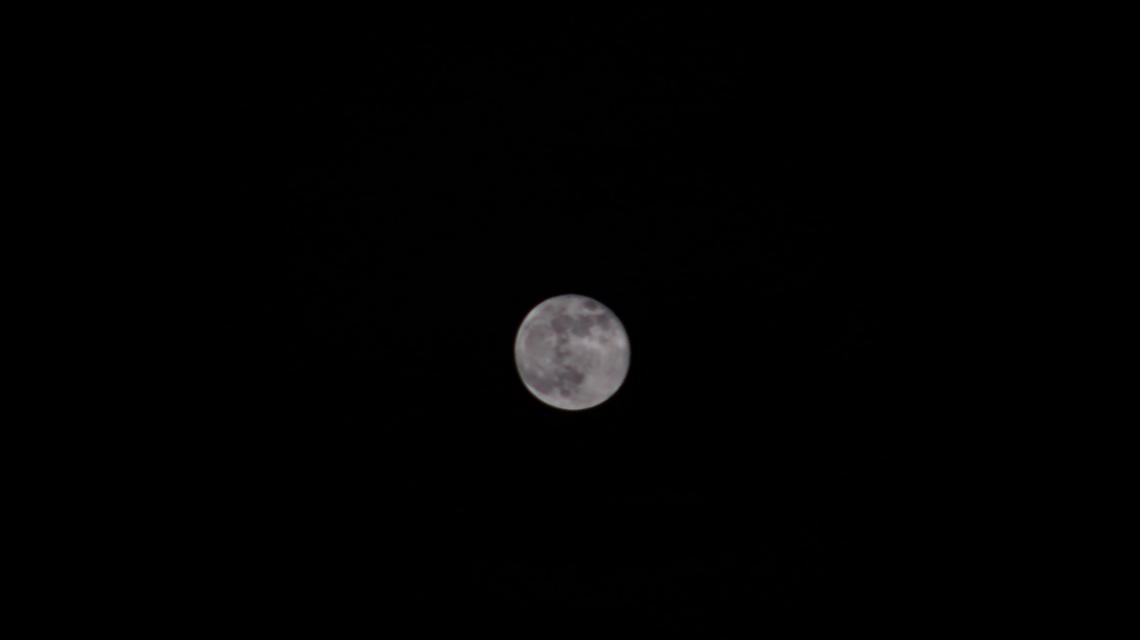 PIC_0496.JPG