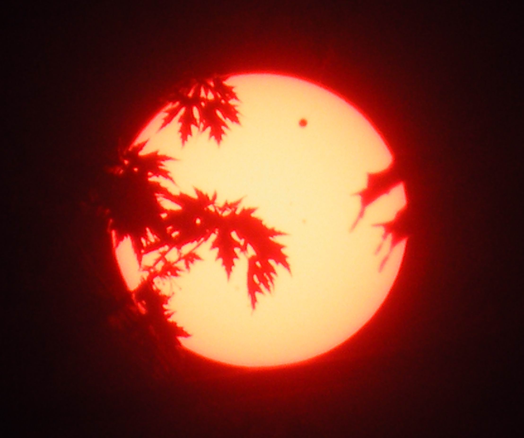 DSCF2657.jpg