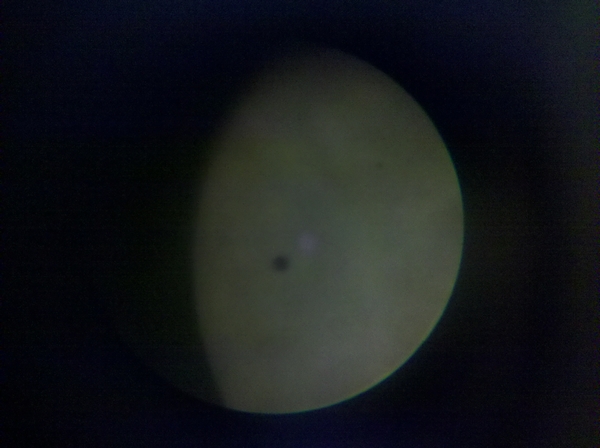 2012-06-06_08-16-32_70.jpg