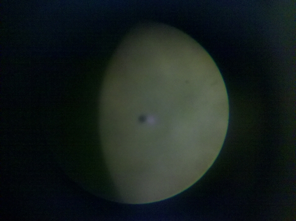 2012-06-06_08-16-49_468.jpg