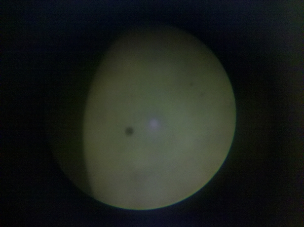 2012-06-06_08-16-55_33.jpg