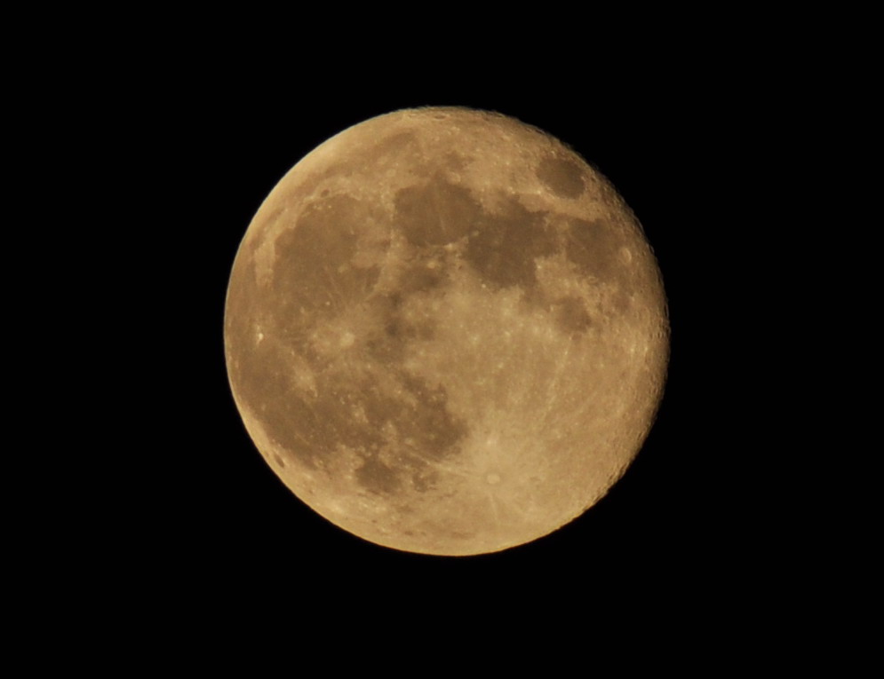 DSC_0926.JPG