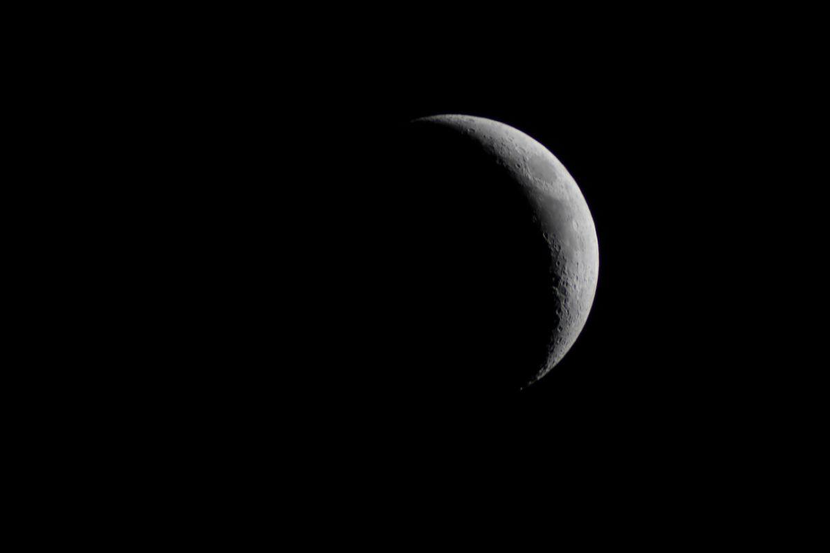 IMG_4413.jpg