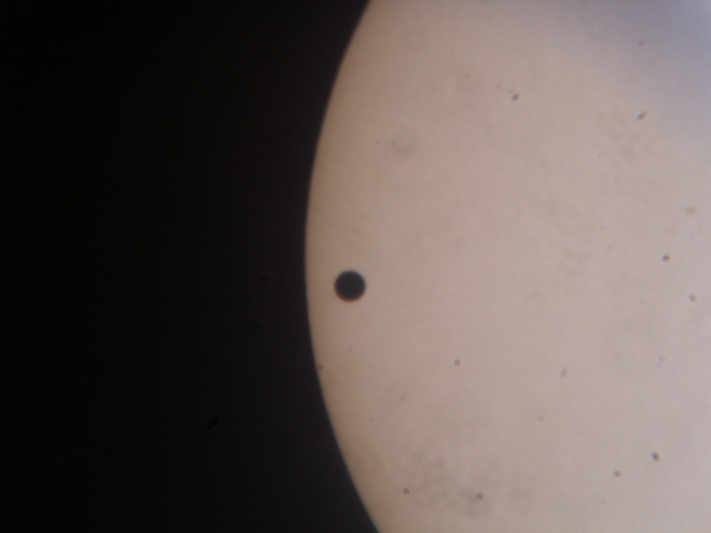 venus_2.jpg