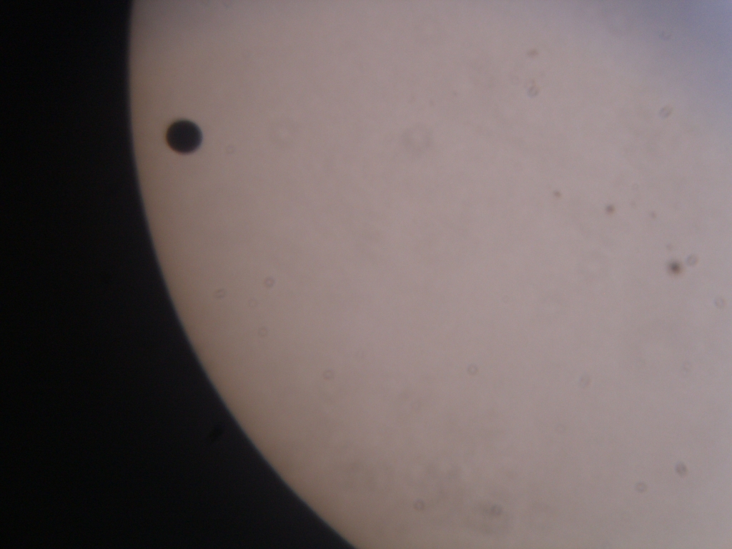 venus_3.jpg