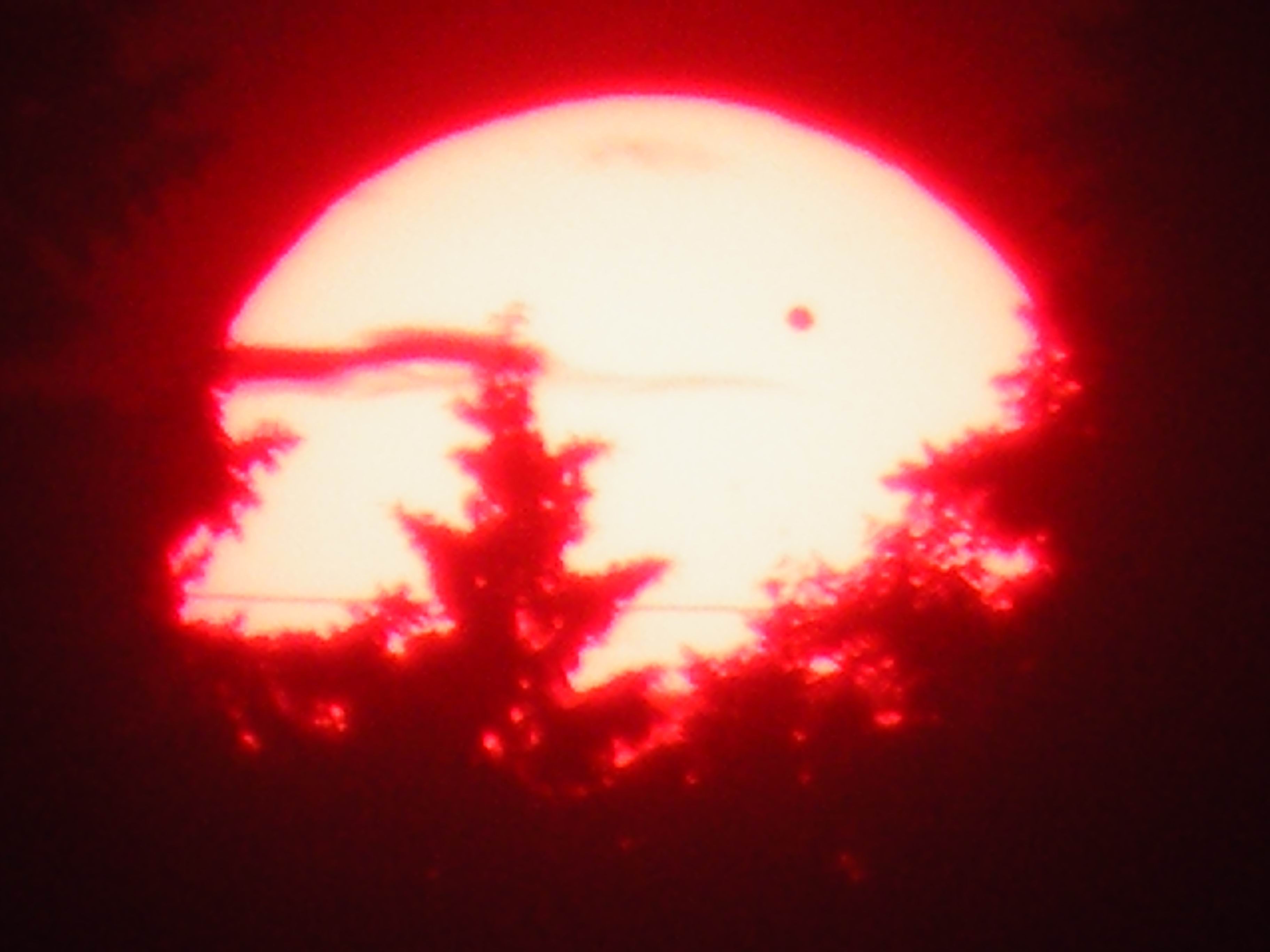 DSCF2698.jpg