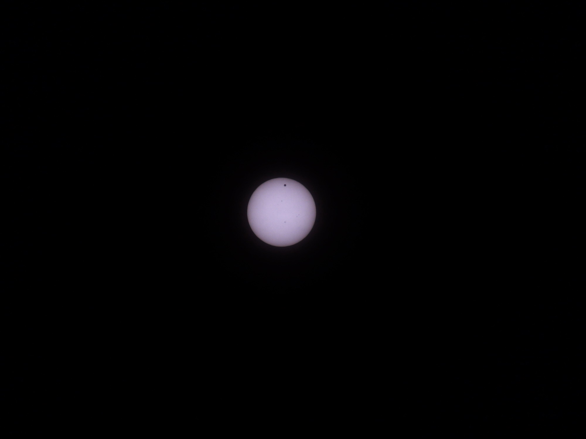 DSC08768.jpg