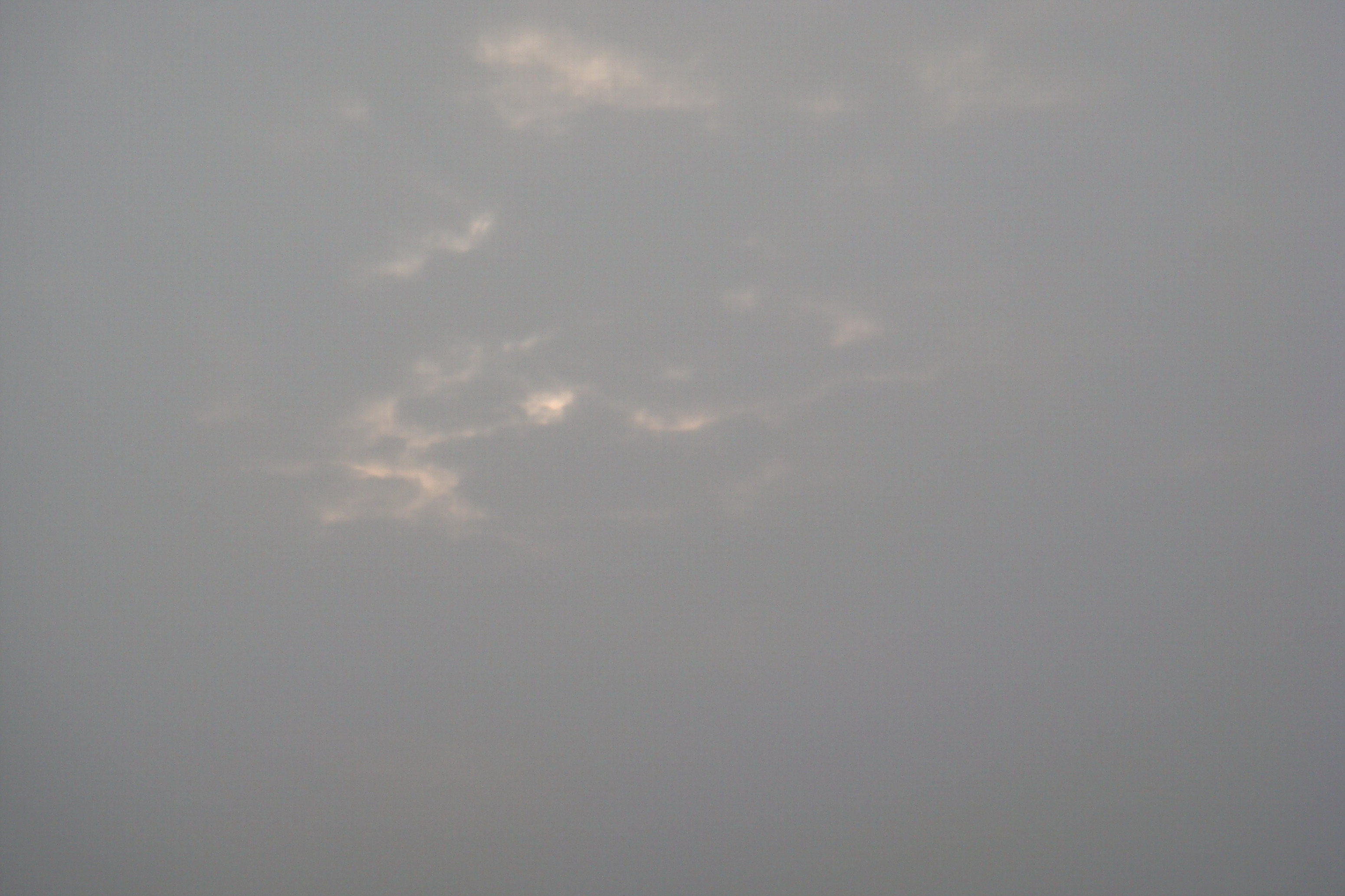 DSC06241.JPG