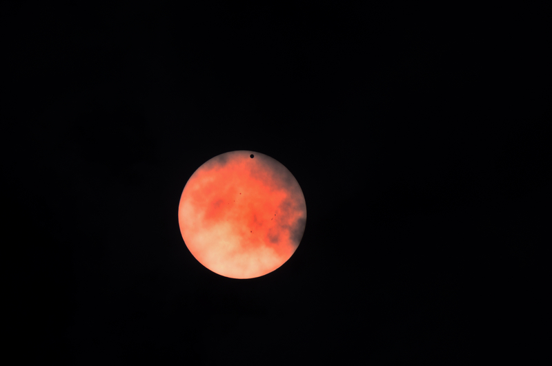 DSC_0026.jpg