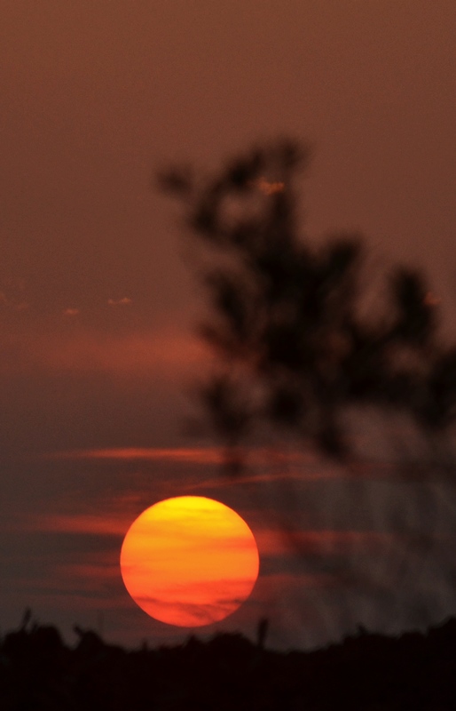 DSC_4637.jpg