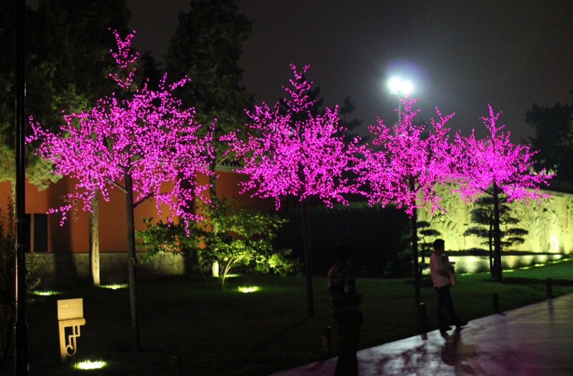 QQ截图20120606183149.jpg