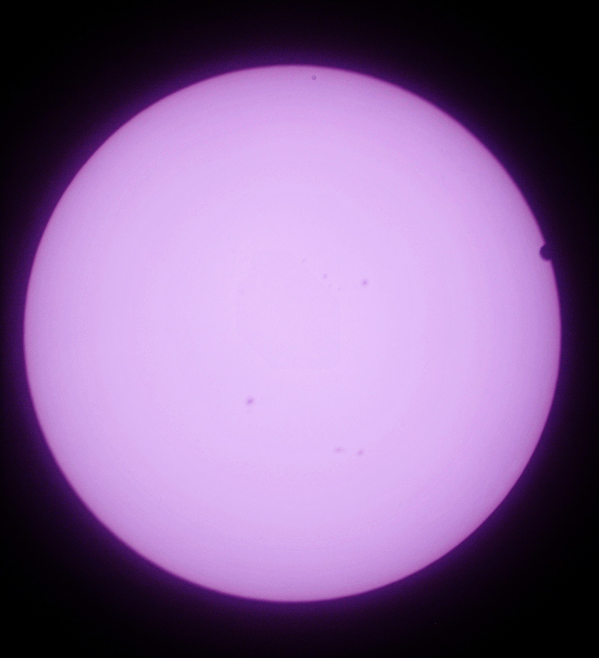 DSC_0216.jpg