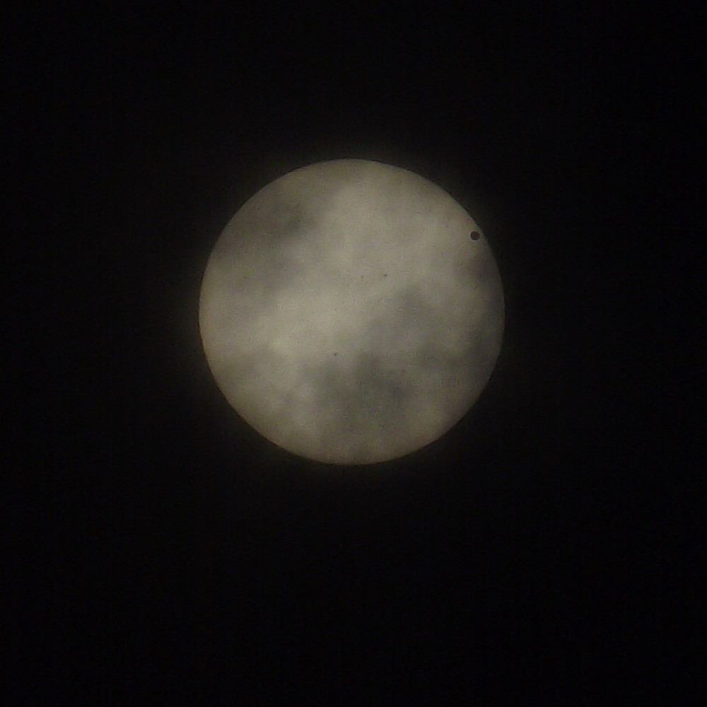 DSCF0254.jpg