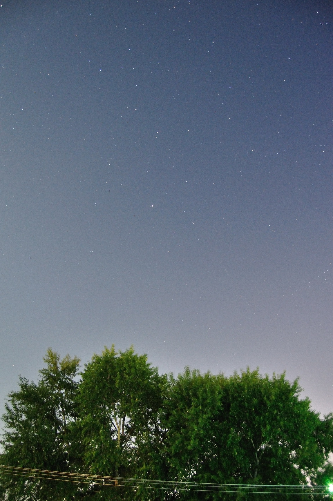 DSC_0228.jpg