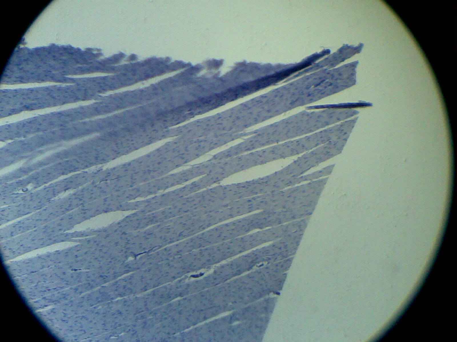 20120607(025).jpg