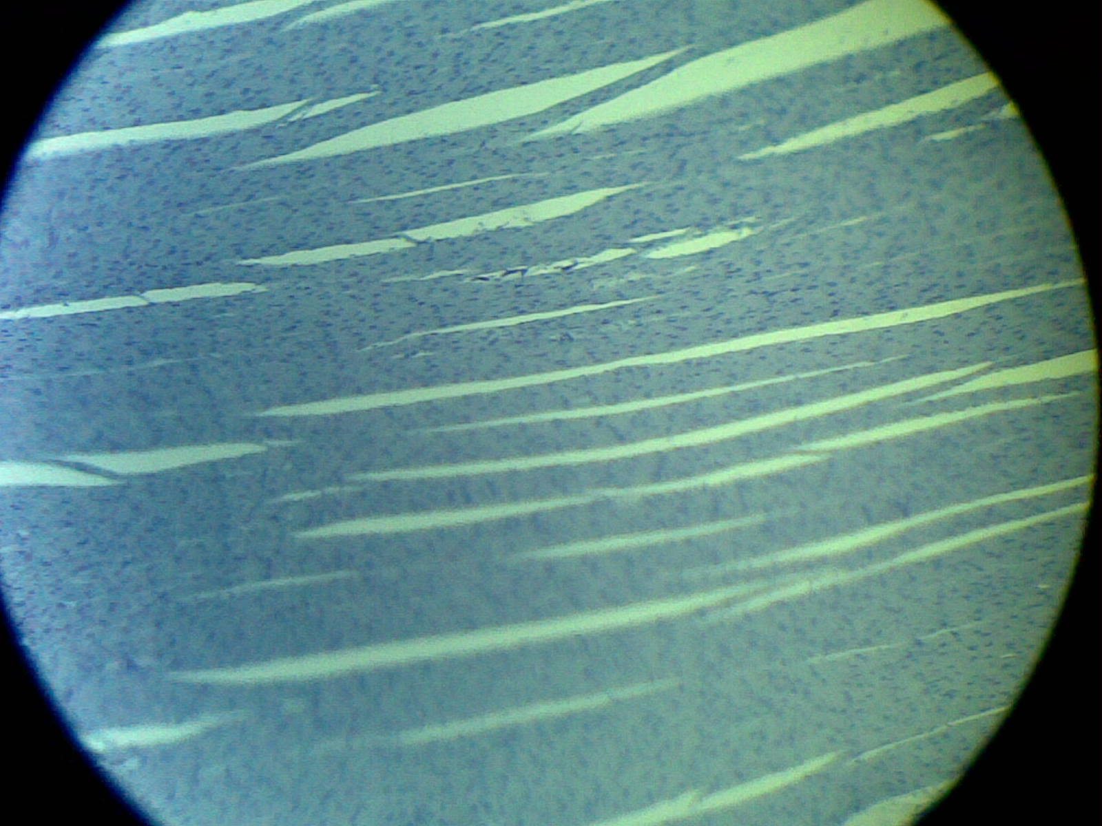 20120607(028).jpg