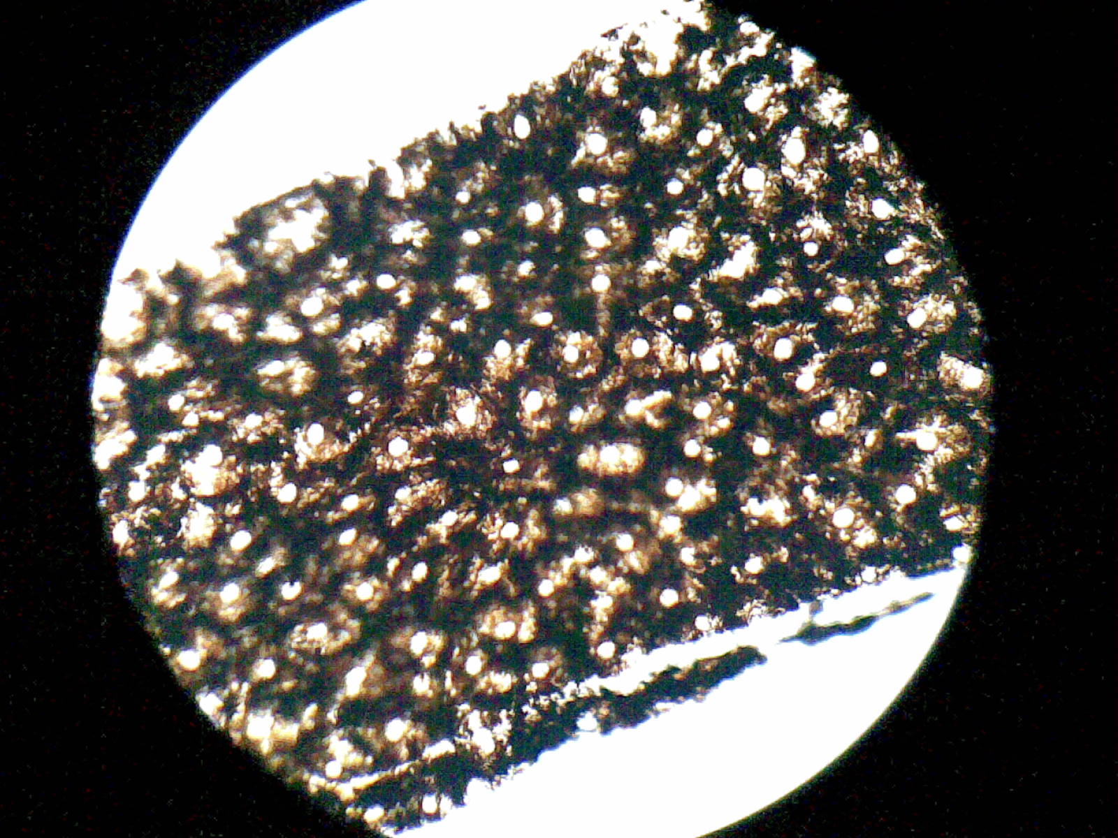 20120607(022).jpg